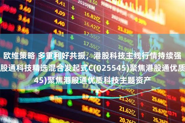 欧维策略 多重利好共振，港股科技主线行情持续强化，汇添富港股通科技精选混合发起式C(025545)聚焦港股通优质科技主题资产