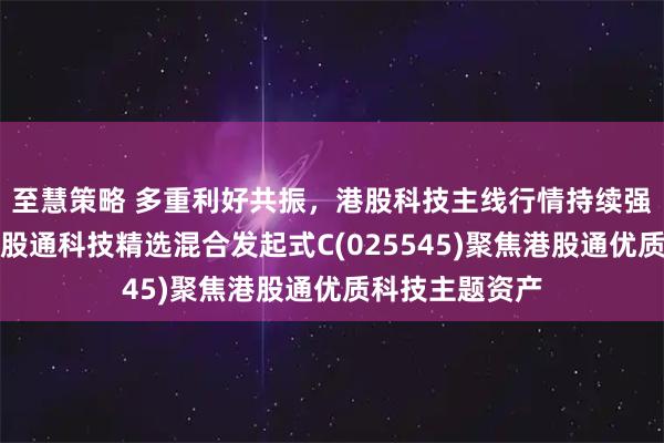 至慧策略 多重利好共振，港股科技主线行情持续强化，汇添富港股通科技精选混合发起式C(025545)聚焦港股通优质科技主题资产
