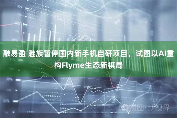 融易盈 魅族暂停国内新手机自研项目，试图以AI重构Flyme生态新棋局