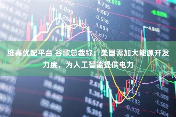 维嘉优配平台 谷歌总裁称：美国需加大能源开发力度，为人工智能提供电力