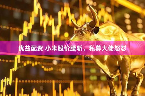 优益配资 小米股价腰斩，私募大佬怒怼