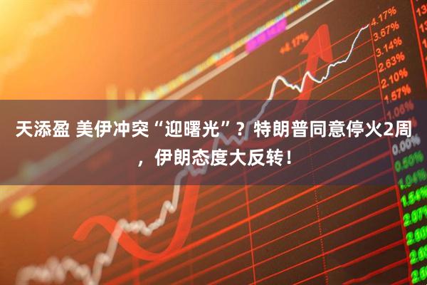 天添盈 美伊冲突“迎曙光”？特朗普同意停火2周，伊朗态度大反转！