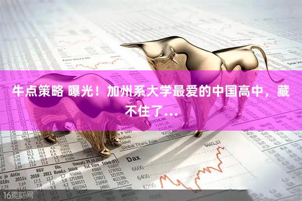 牛点策略 曝光！加州系大学最爱的中国高中，藏不住了…