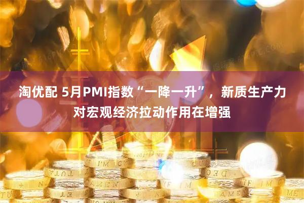 淘优配 5月PMI指数“一降一升”，新质生产力对宏观经济拉动作用在增强