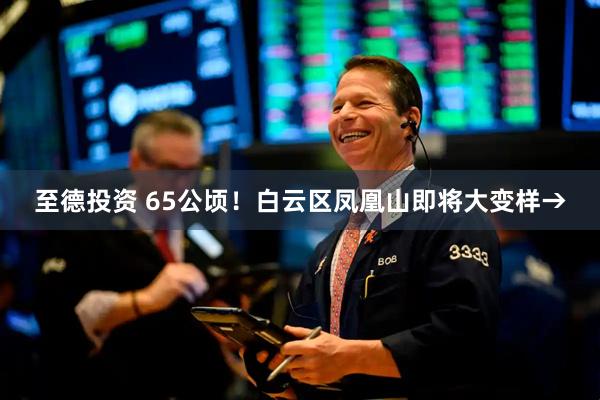 至德投资 65公顷！白云区凤凰山即将大变样→