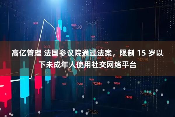 高亿管理 法国参议院通过法案，限制 15 岁以下未成年人使用社交网络平台